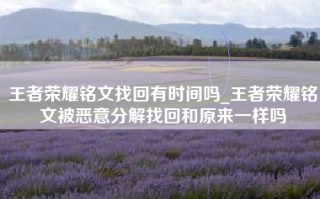 王者荣耀铭文找回有时间吗_王者荣耀铭文被恶意分解找回和原来一样吗