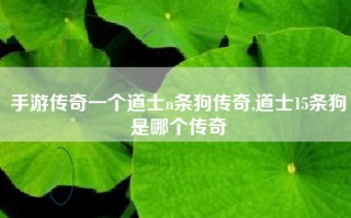 手游传奇一个道士n条狗传奇,道士15条狗是哪个传奇