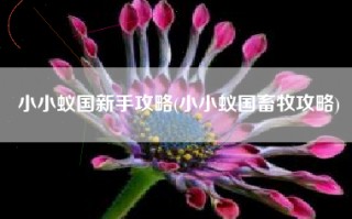 小小蚁国新手攻略(小小蚁国畜牧攻略)