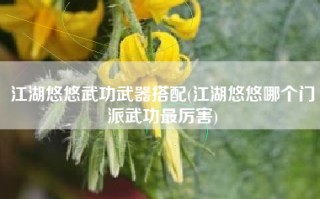 江湖悠悠武功武器搭配(江湖悠悠哪个门派武功最厉害)