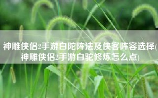 神雕侠侣2手游白陀阵法及侠客阵容选择(神雕侠侣2手游白驼修炼怎么点)