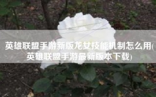 英雄联盟手游新版龙女技能机制怎么用(英雄联盟手游最新版本下载)
