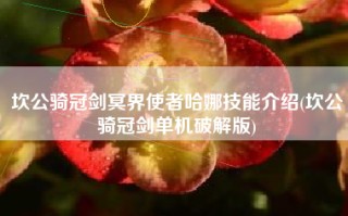 坎公骑冠剑冥界使者哈娜技能介绍(坎公骑冠剑单机破解版)