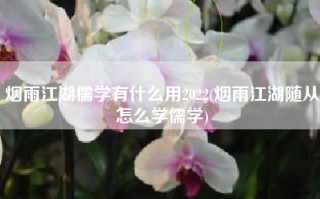 烟雨江湖儒学有什么用2022(烟雨江湖随从怎么学儒学)