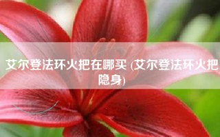 艾尔登法环火把在哪买 (艾尔登法环火把隐身)
