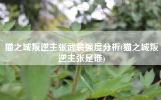 猫之城叛逆主张武装强度分析(猫之城叛逆主张是谁)
