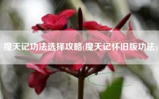 魔天记功法选择攻略(魔天记怀旧版功法)