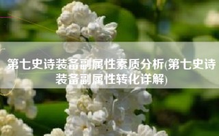 第七史诗装备副属性素质分析(第七史诗装备副属性转化详解)