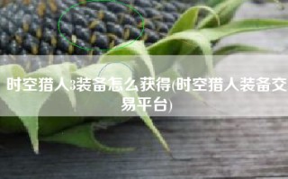 时空猎人3装备怎么获得(时空猎人装备交易平台)
