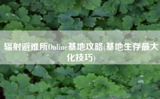 辐射避难所Online基地攻略(基地生存最大化技巧)