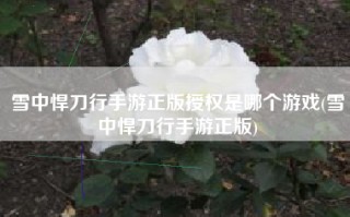 雪中悍刀行手游正版授权是哪个游戏(雪中悍刀行手游正版)