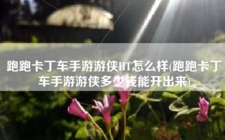 跑跑卡丁车手游游侠HT怎么样(跑跑卡丁车手游游侠多少钱能开出来)
