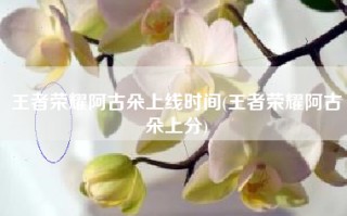 王者荣耀阿古朵上线时间(王者荣耀阿古朵上分)