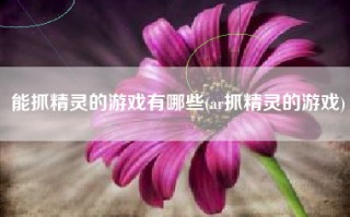 能抓精灵的游戏有哪些(ar抓精灵的游戏)