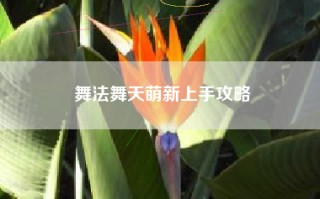 舞法舞天萌新上手攻略