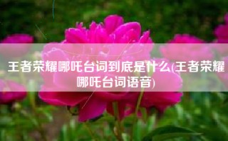 王者荣耀哪吒台词到底是什么(王者荣耀哪吒台词语音)