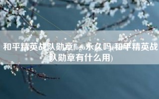 和平精英战队勋章logo永久吗(和平精英战队勋章有什么用)