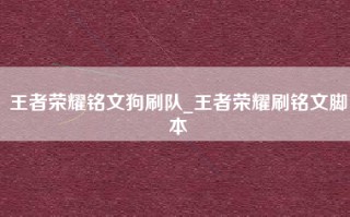 王者荣耀铭文狗刷队_王者荣耀刷铭文脚本