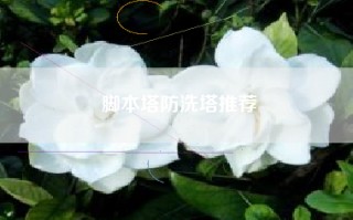 脚本塔防洗塔推荐