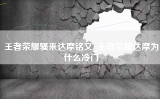 王者荣耀骚来达摩铭文_王者荣耀达摩为什么冷门