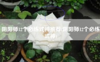 阴阳师12个必练式神推荐(阴阳师12个必练式神)