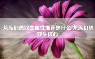 龙族幻想双生属性推荐是什么(龙族幻想双生核心)