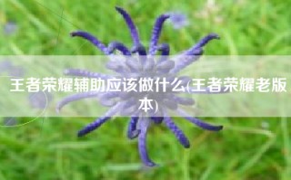 王者荣耀辅助应该做什么(王者荣耀老版本)
