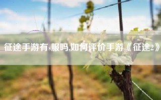 征途手游有s服吗,如何评价手游《征途2》