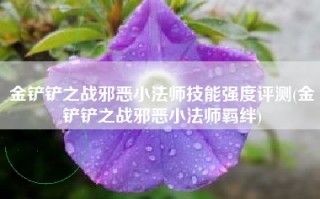 金铲铲之战邪恶小法师技能强度评测(金铲铲之战邪恶小法师羁绊)