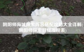 阴阳师海域探索阵容搭配攻略大全详解(阴阳师探索妖怪发现表)