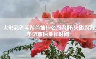 火影忍者手游首抽什么忍者好(火影忍者手游首抽多长时间)
