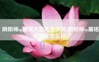 阴阳师sp麓铭大岳丸多少钱(阴阳师sp麓铭大岳丸怎么样)