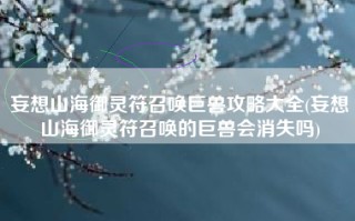 妄想山海御灵符召唤巨兽攻略大全(妄想山海御灵符召唤的巨兽会消失吗)