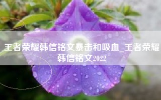 王者荣耀韩信铭文暴击和吸血_王者荣耀韩信铭文2022