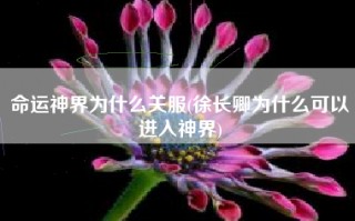 命运神界为什么关服(徐长卿为什么可以进入神界)