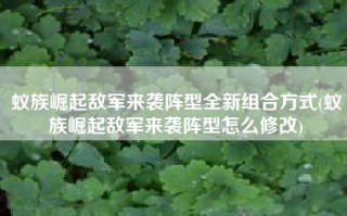 蚁族崛起敌军来袭阵型全新组合方式(蚁族崛起敌军来袭阵型怎么修改)