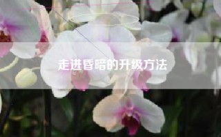 走进昏暗的升级方法