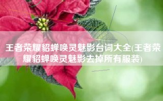 王者荣耀貂蝉唤灵魅影台词大全(王者荣耀貂蝉唤灵魅影去掉所有服装)