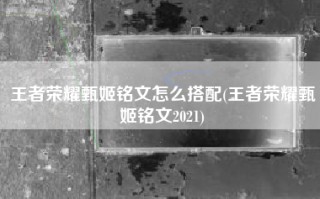 王者荣耀甄姬铭文怎么搭配(王者荣耀甄姬铭文2021)