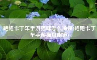 跑跑卡丁车手游猫咪怎么涂装(跑跑卡丁车手游猫耳眼镜)