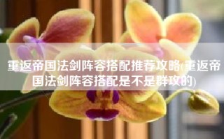 重返帝国法剑阵容搭配推荐攻略(重返帝国法剑阵容搭配是不是群攻的)