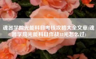魂器学院光能科目考核攻略大全文章(魂器学院光能科目作战18光怎么过)