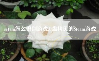 setam怎么识别游戏,U盘拷贝的Steam游戏