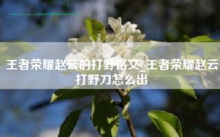 王者荣耀赵云的打野铭文_王者荣耀赵云打野刀怎么出