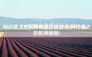 阿拉德之怒弑神刷图技能加点(阿拉德之怒弑神刷图)