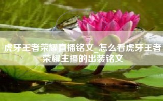 虎牙王者荣耀直播铭文_怎么看虎牙王者荣耀主播的出装铭文