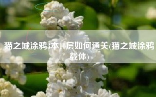 猫之城涂鸦3本10层如何通关(猫之城涂鸦载体)
