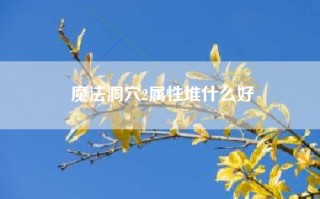 魔法洞穴2属性堆什么好