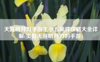 天涯明月刀手游王小五案件攻略大全详解(类似天涯明月刀的手游)