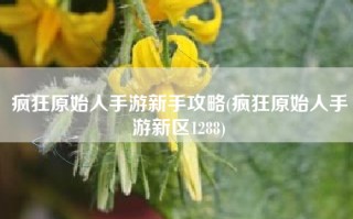 疯狂原始人手游新手攻略(疯狂原始人手游新区1288)